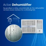 Voltas Fixed Speed Window AC,1.5 Ton,3 Star-183 Vectra Pearl: Instant Cooling - Image 2