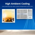 Voltas Fixed Speed Window AC,1.5 Ton,3 Star-183 Vectra Pearl: Instant Cooling - Image 5